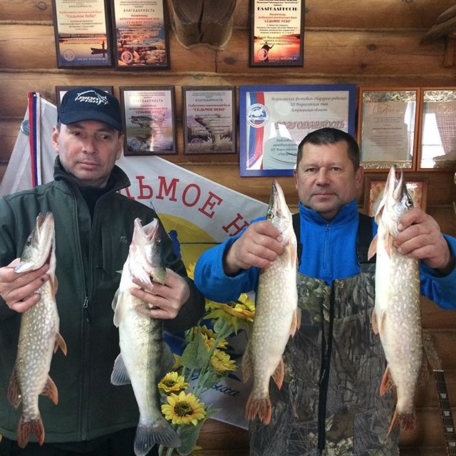 Фото Седьмое Небо