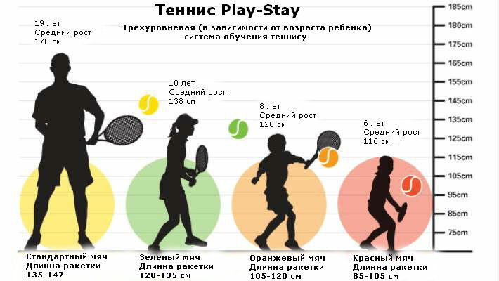 Средний рост женщин в россии таблица