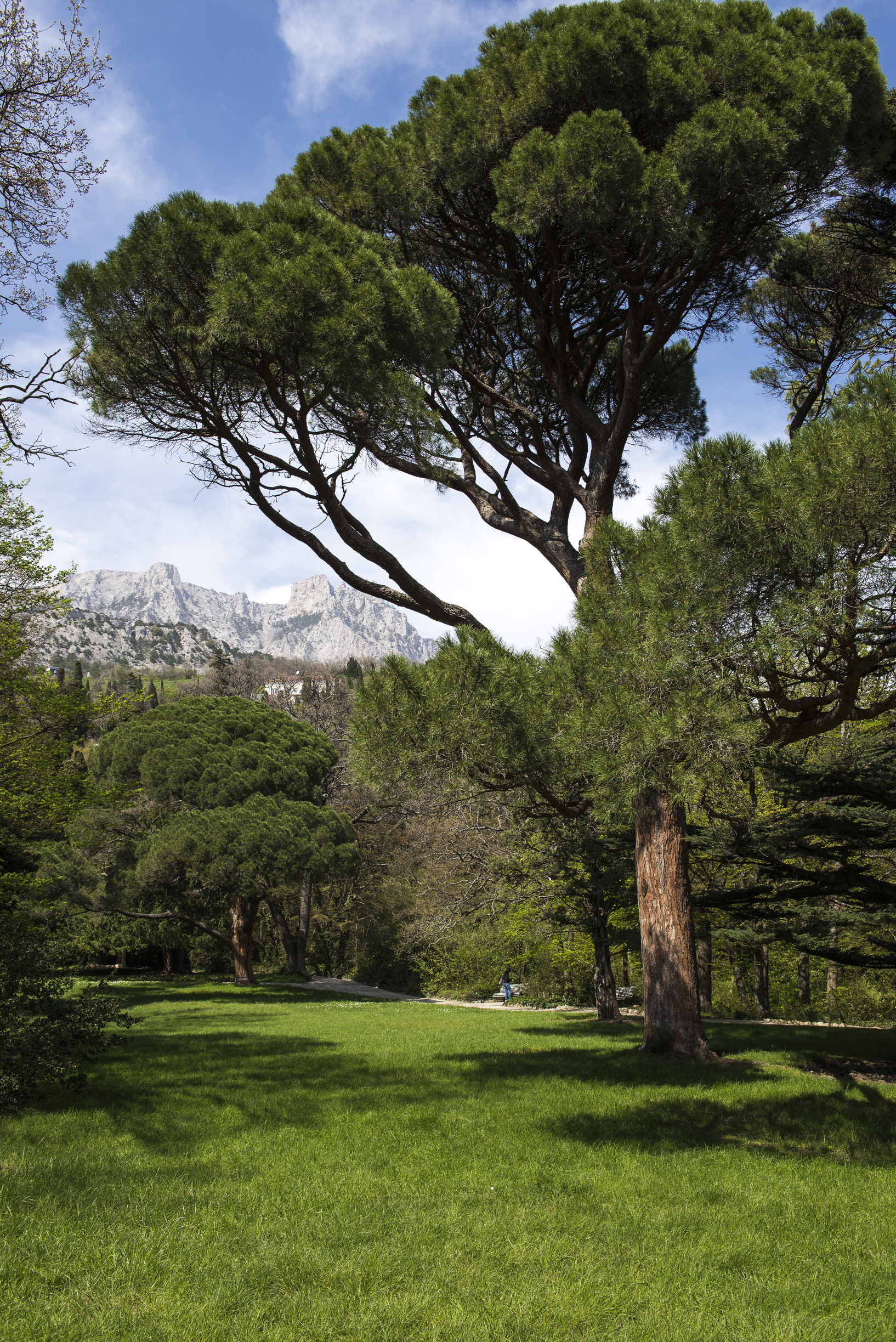 Фото Сон у моря