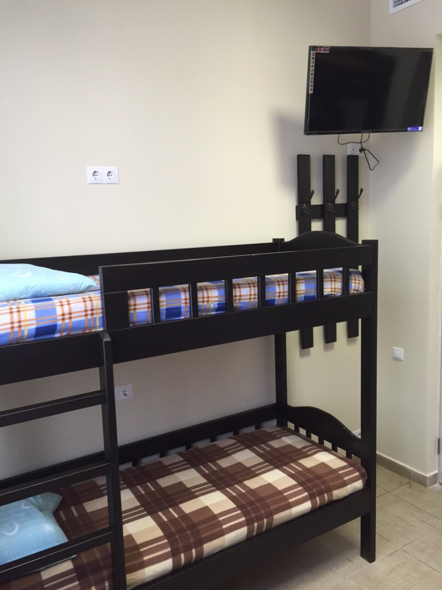 Фото Вежливый лось