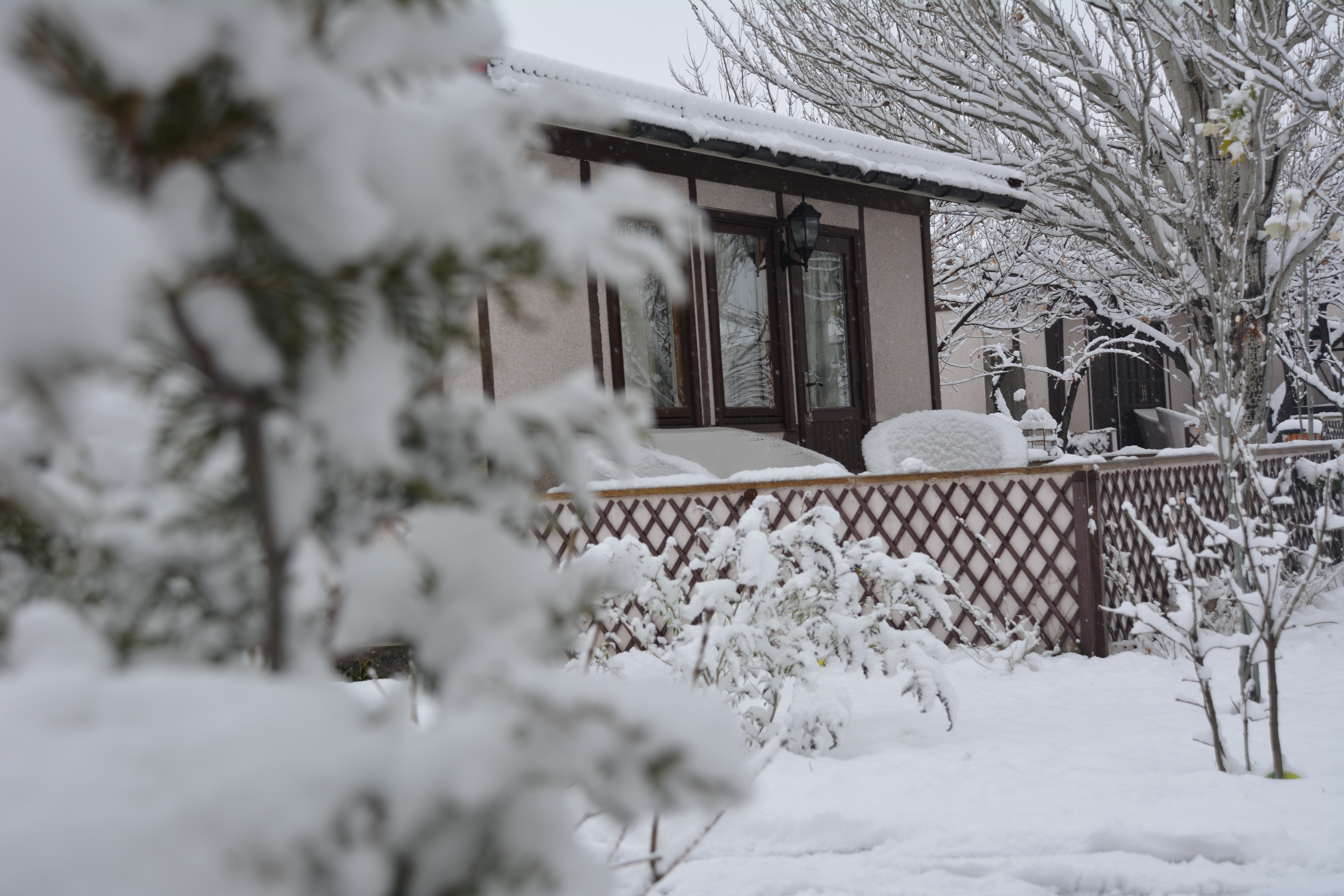 Фото Cross Resort