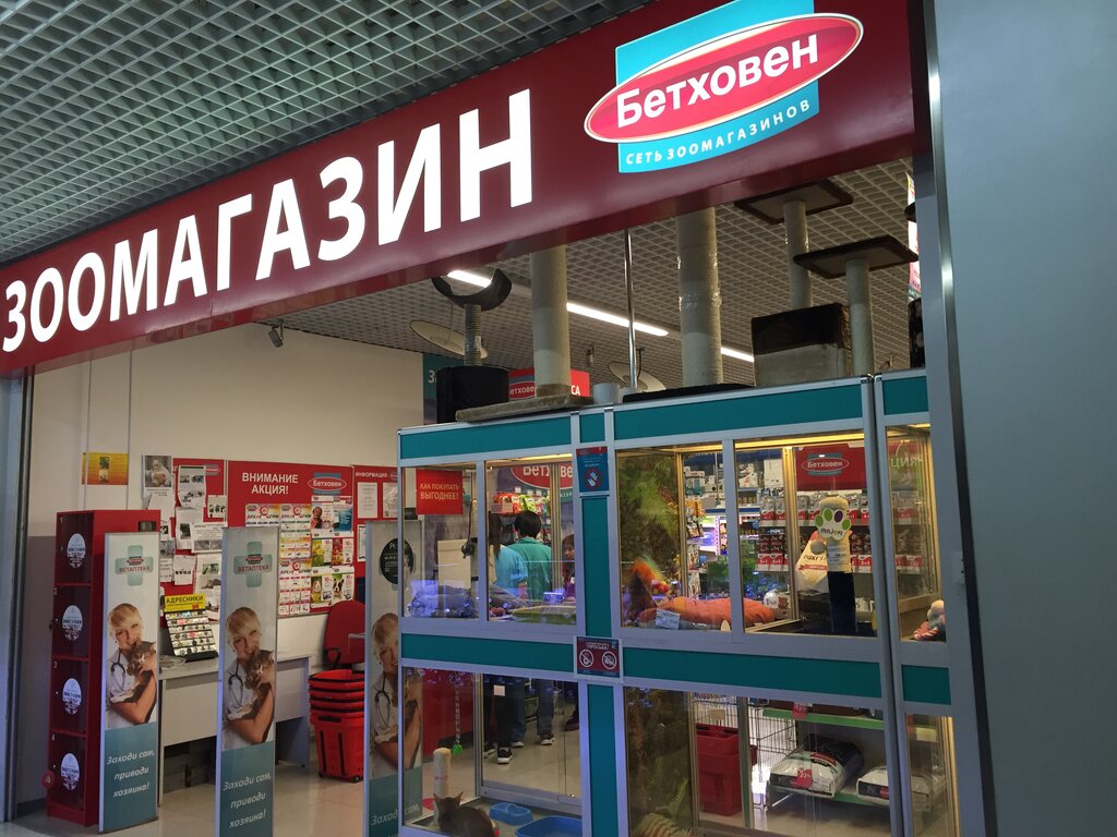Магазин Бетховен В Москве Официальный