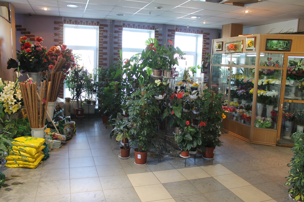 محل زهور Lyubushka salon tsvetov Tronina S. A. Ip ، ، صورة