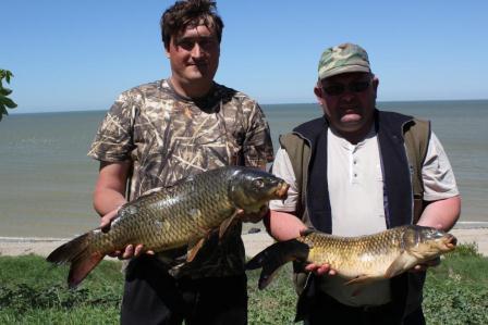Фото Гостиница у Лукоморья