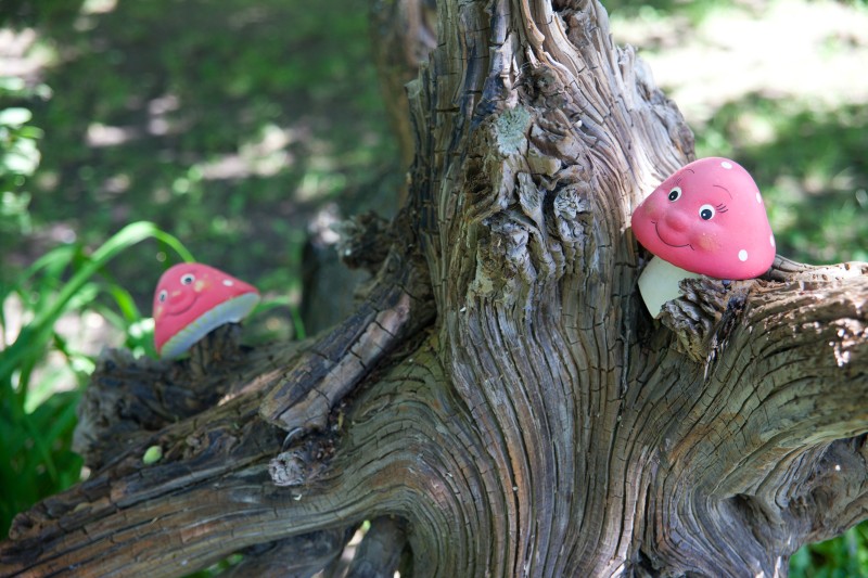 Фото Пансионат Визит