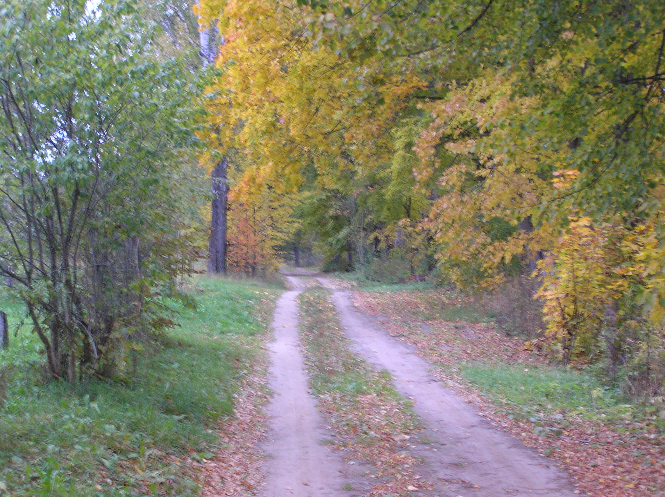 Фото Русские просторы