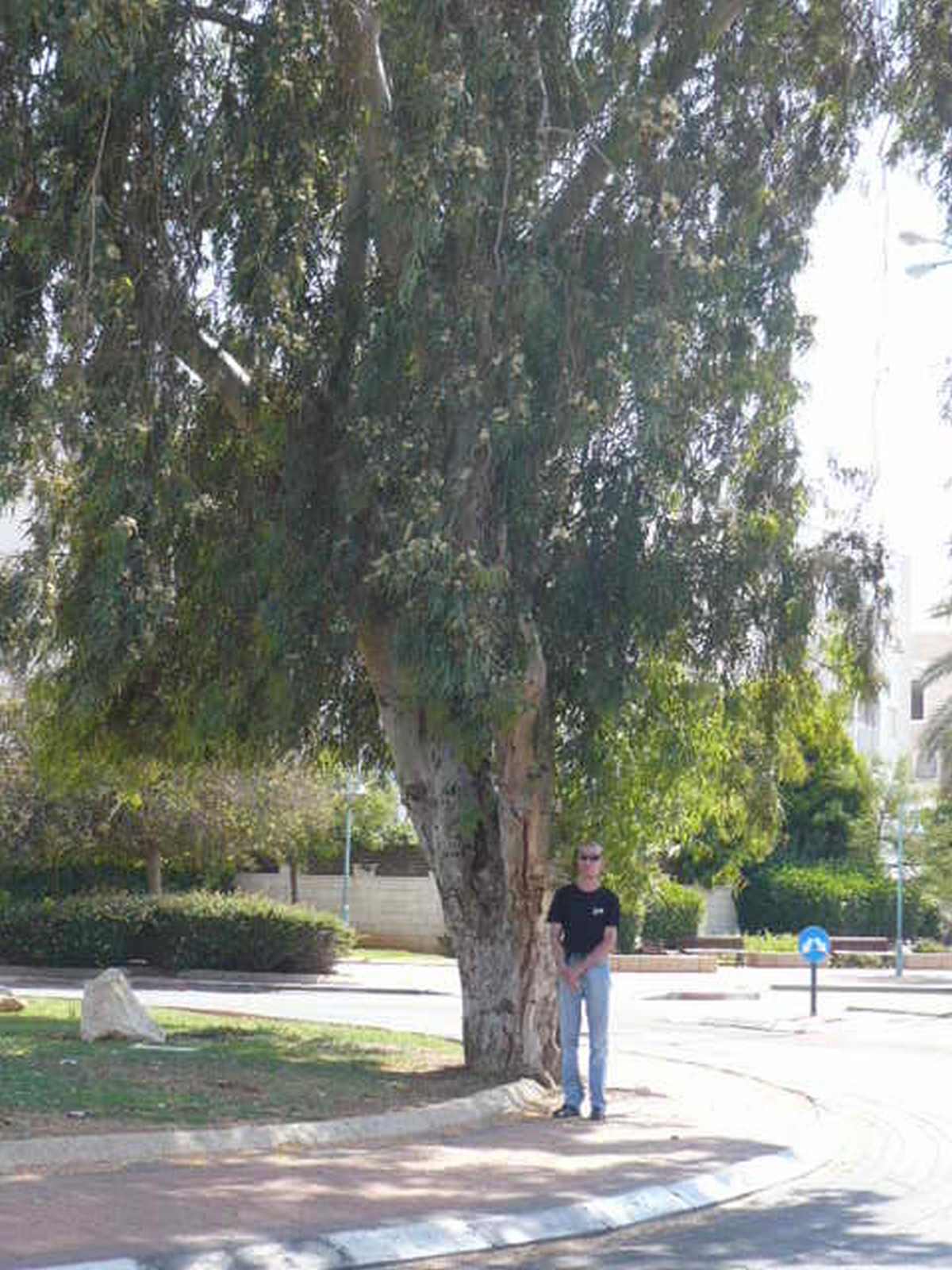 Фото Grand Beach Hotel