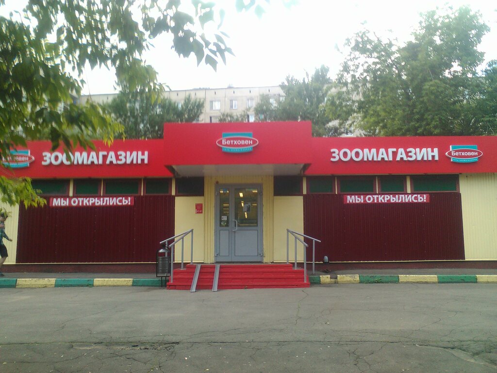 На Олимпе Интернет Магазин Часы Работы