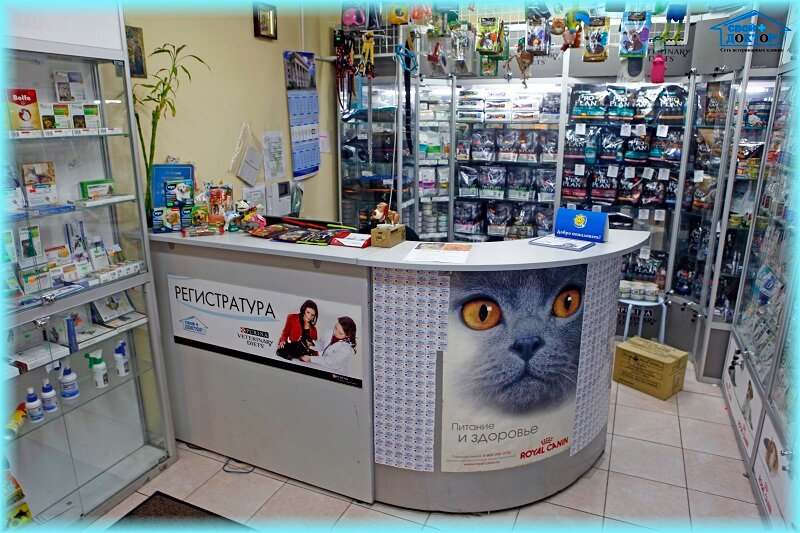 Svoy doctor, veterinary clinic, Moscow, Zhigulyovskaya Street, 6к2 - Yandex Maps