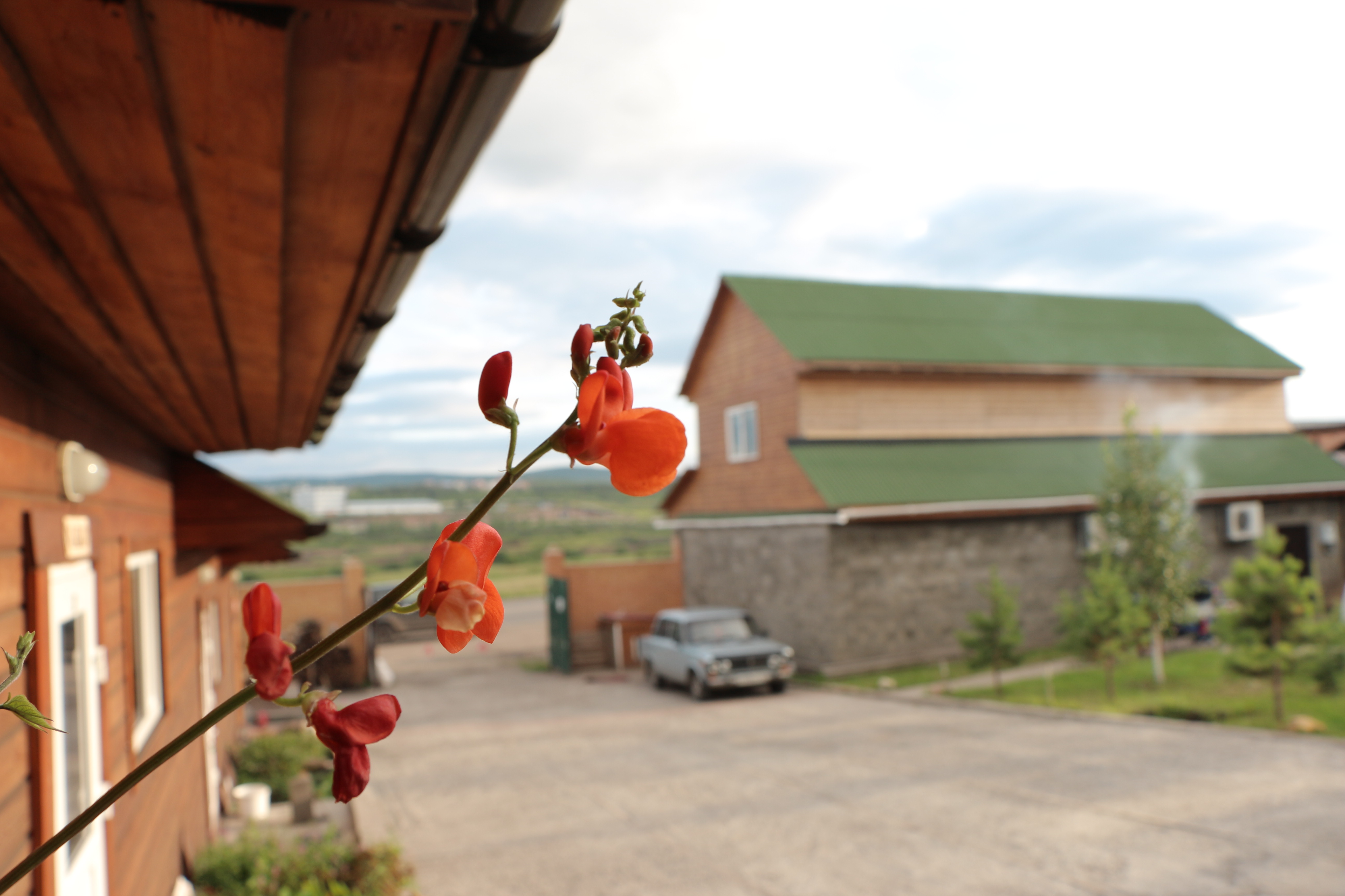 Фото Заимка