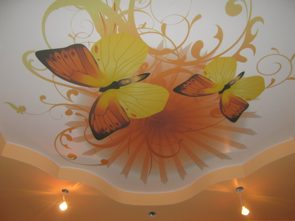 ����� ������ ���������� �������� ������� �������