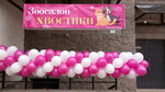 Zoosalon Xvostiki (Optikov Street, 52к1), pet salon