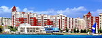 TSZh Pribrezhny (Frolova Street, 29), hoa, junta directiva de snt