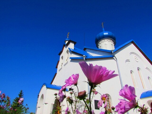 Православный храм Церковь Сошествия Святого Духа, Новгородская область, фото