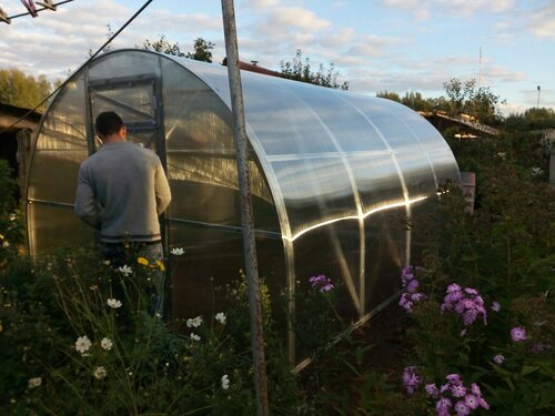 Gardening shop PoliMir, Ivanovo, photo