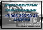 Avtoelektrik V Kingiseppe s vyyezdom (Leningrad Region, Kingisepp, mikrorayon Yuzhny), private experts
