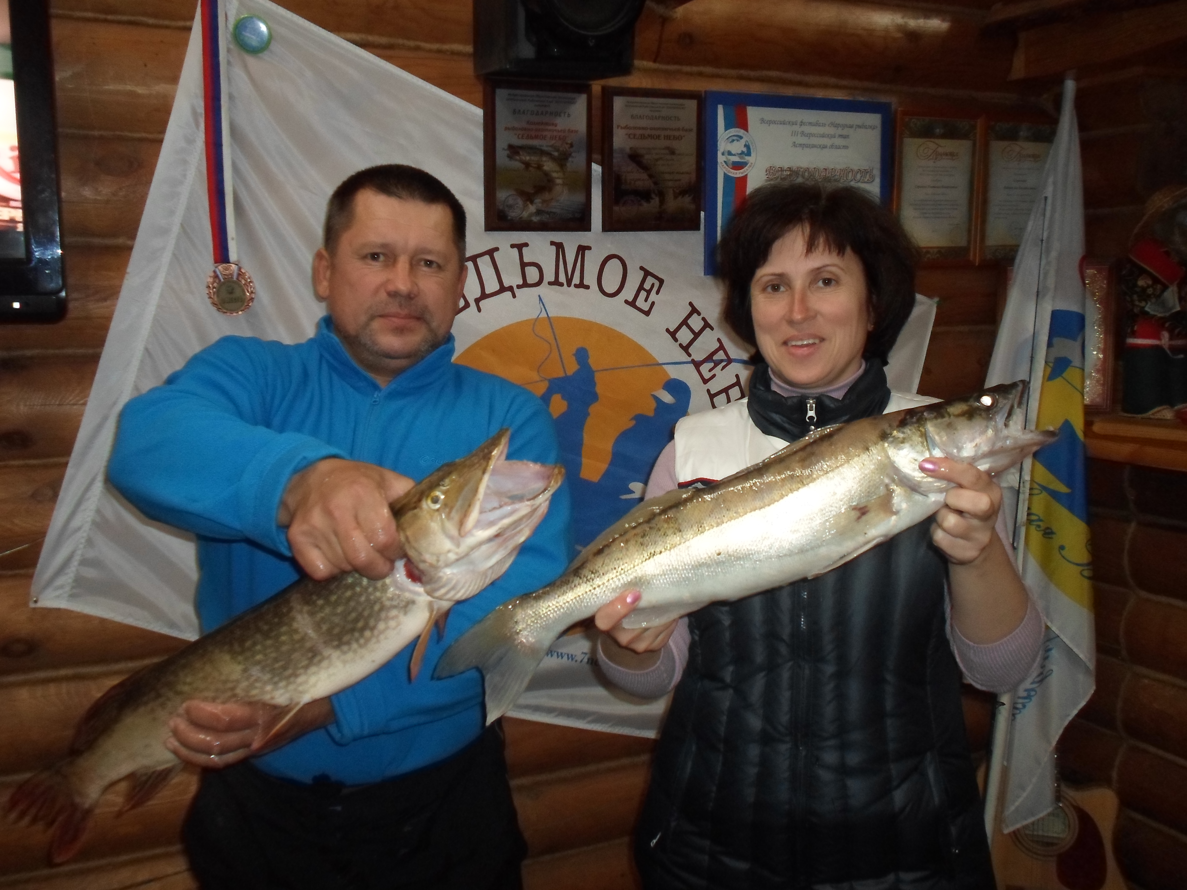 Фото Седьмое Небо