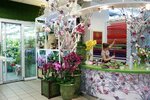 Magazin Don Pion (Valeriia Lobanovskoho Avenue, 119/2), flowers and bouquets delivery
