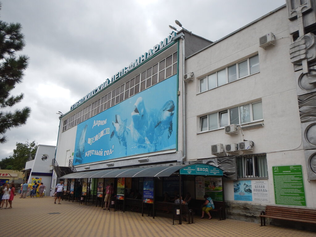 Dolphinarium Gelendzhik Dolphinarium, Gelendgik, photo