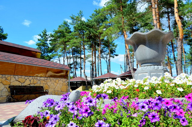 Фото Санлайт