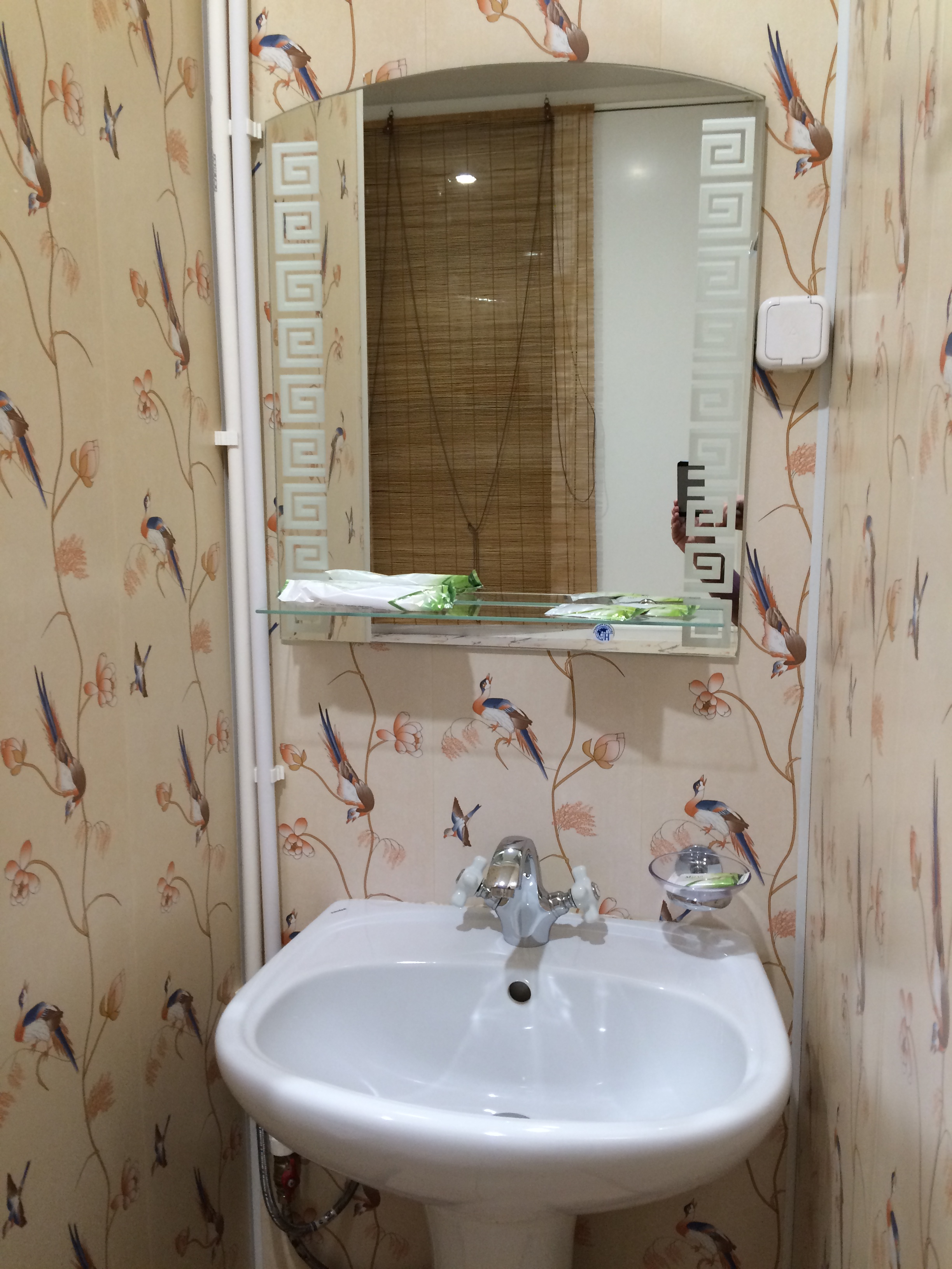 Фото Ариэль