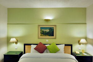 Гостиница Hotel Shanker