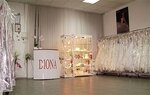 Diona - wedding shop (Shevchenkivskyi District, Bohdana Khmelnytskoho Street, 10), bridal salon