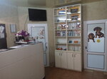 Ветеринарная клиника Верный Друг (просп. Панфилова, 122А, Донецк), ветеринарная клиника в Донецке