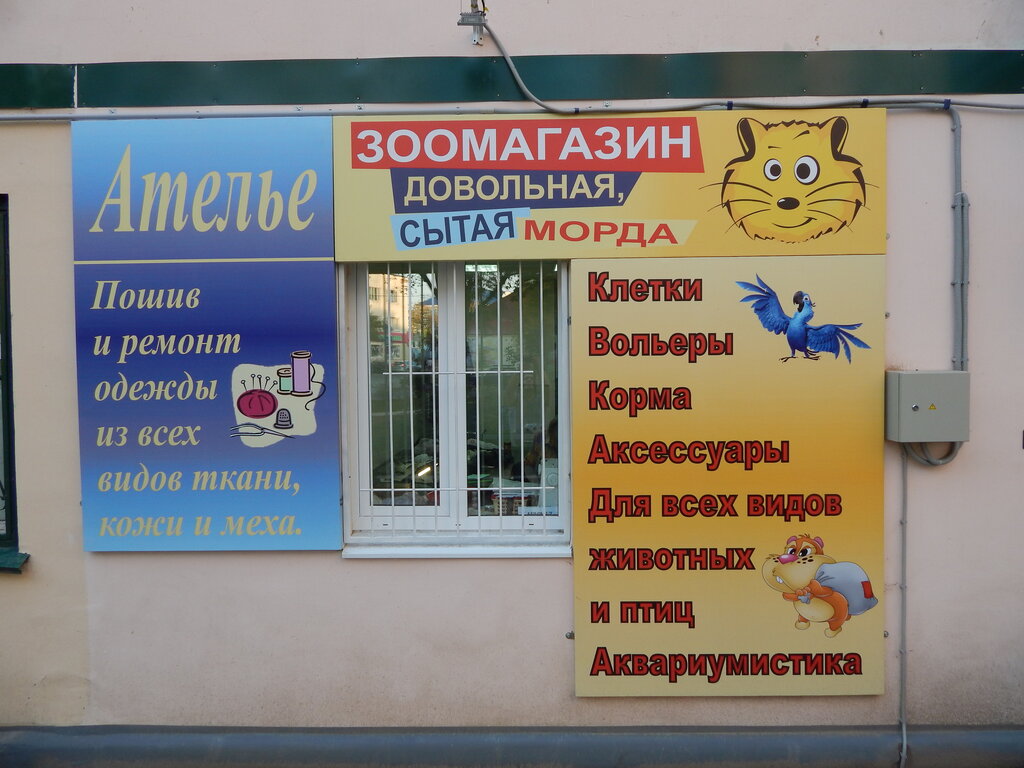 Сытая Морда Тюмень Интернет Магазин