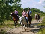 Horse club Centavr (Settlement of Nagulino, Obedineniaya Street, 3), horse riding