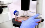 Biotekhnologicheskaya kompaniya SmartCell (Kyiv, Kostiantynivska Street, 57) ، مختبر طبي
