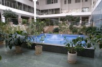 Фото Петрово-Дальнее