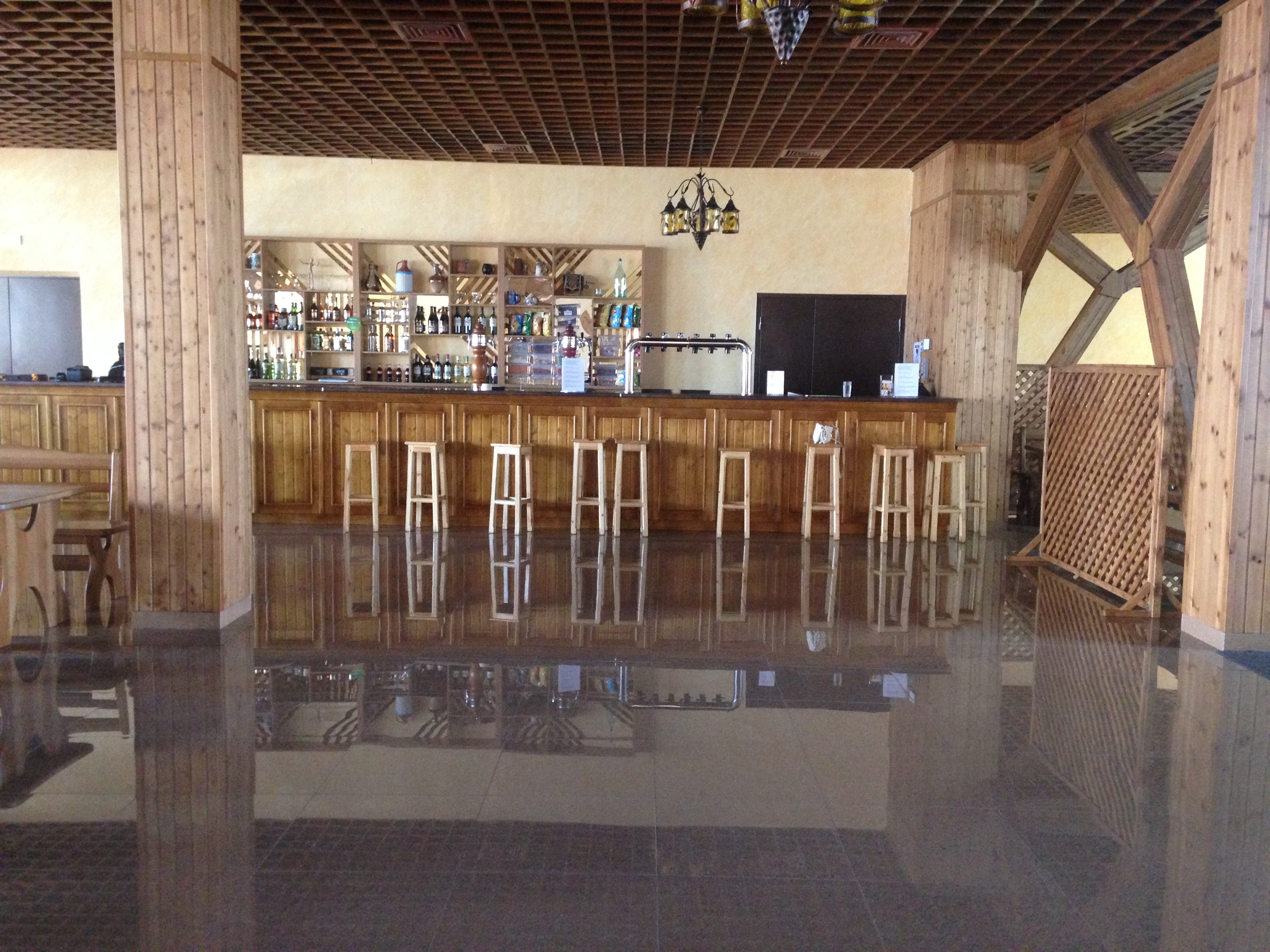 Фото Сенгилей