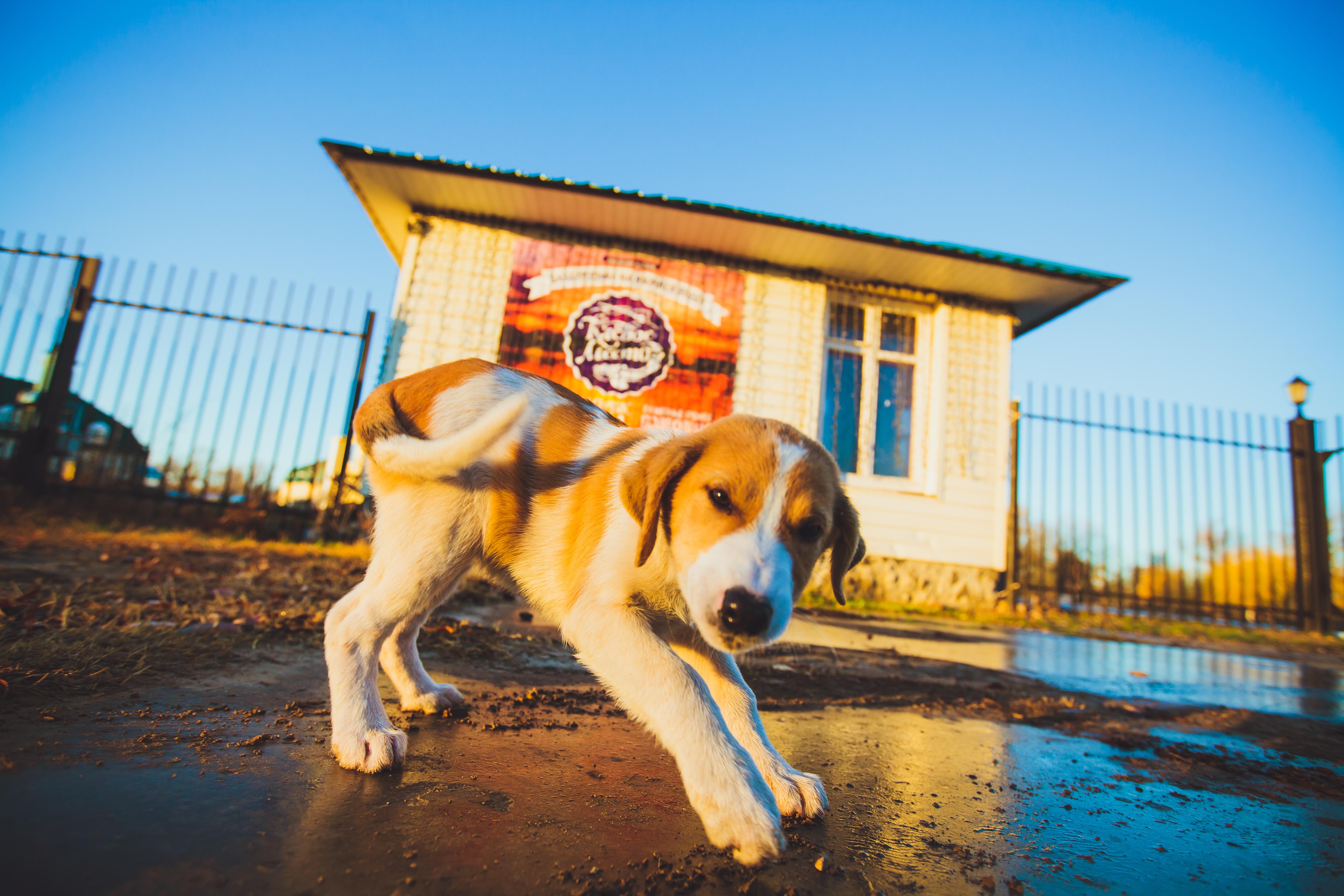 Фото Клёвое место