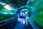 Oceanarium (Uralskaya Street, 98/11), oceanarium