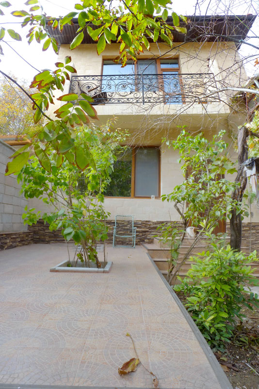 Фото Виноградная лоза