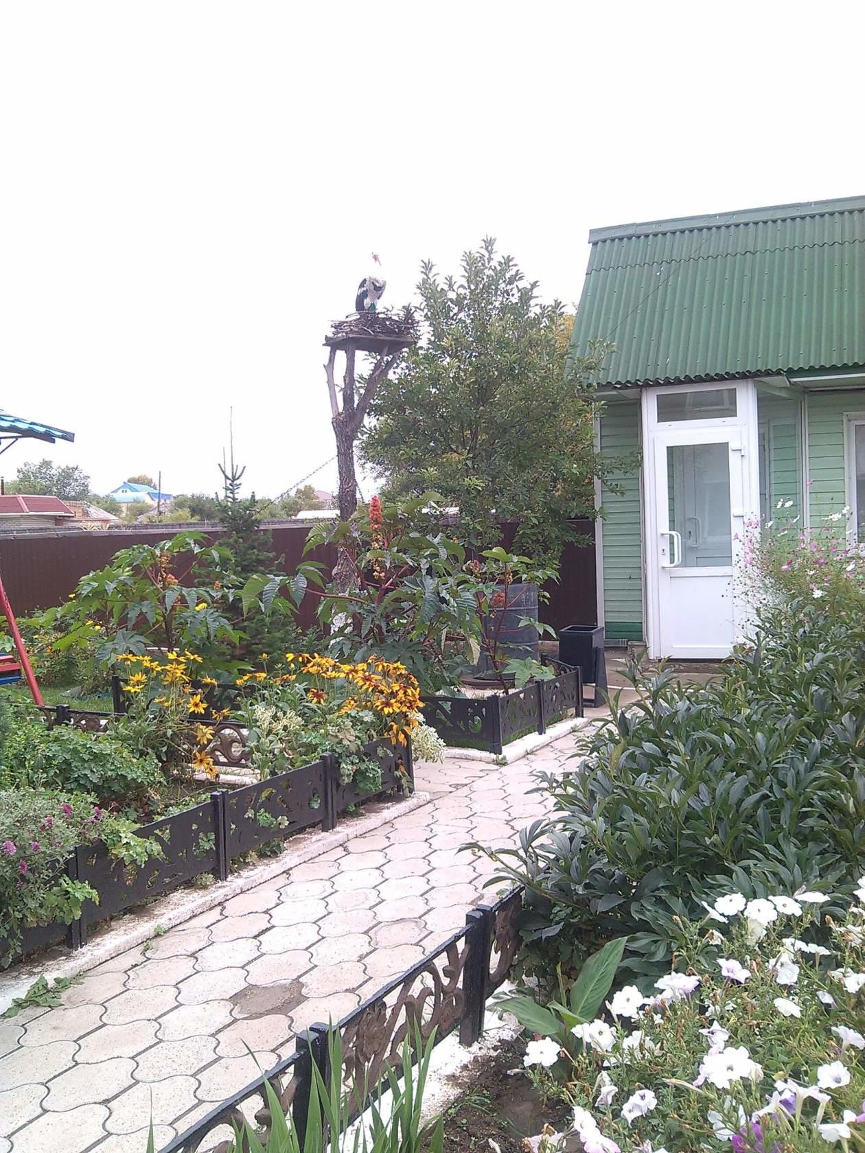 Фото Юбилейная