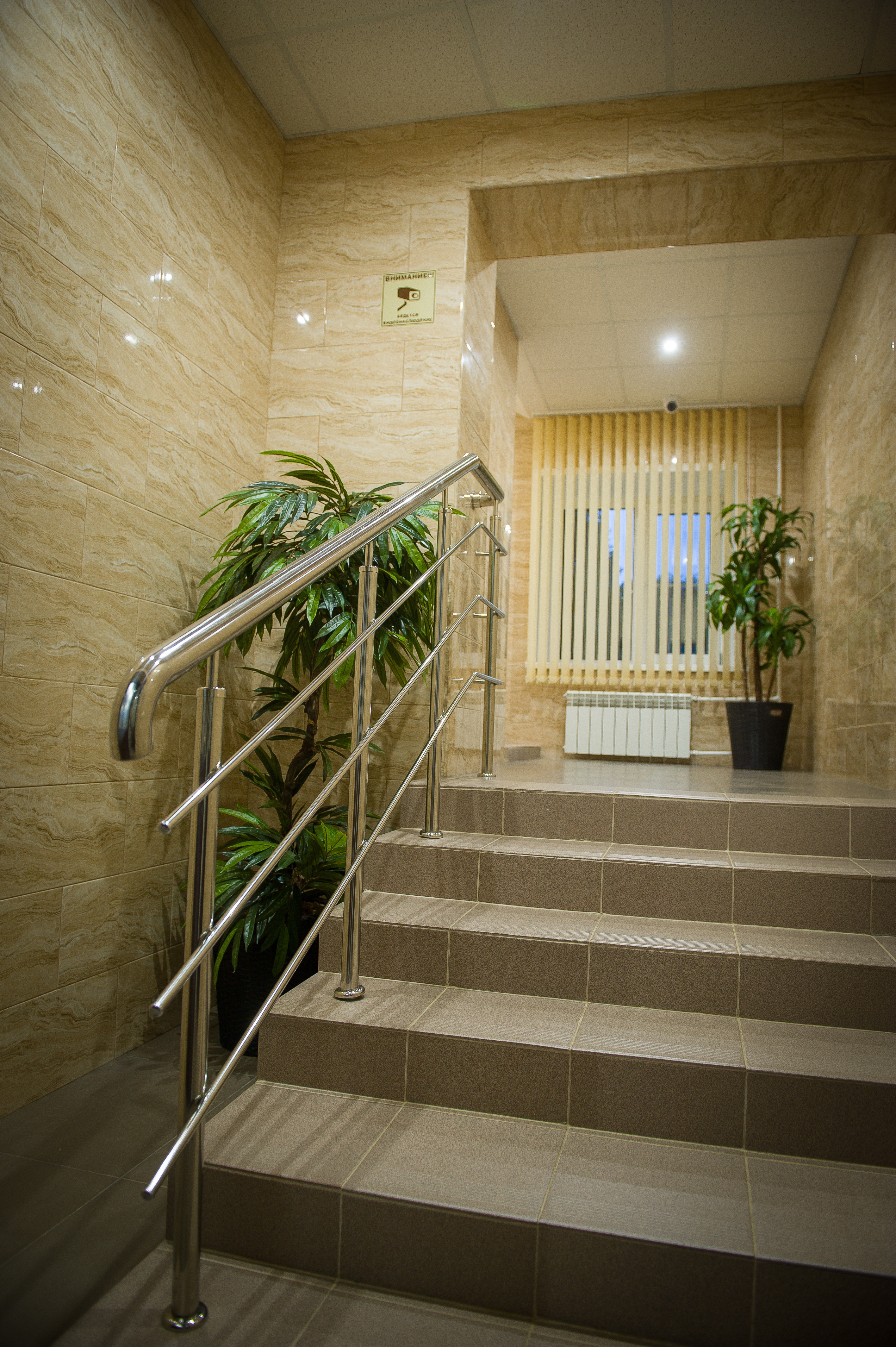 Фото Дружба