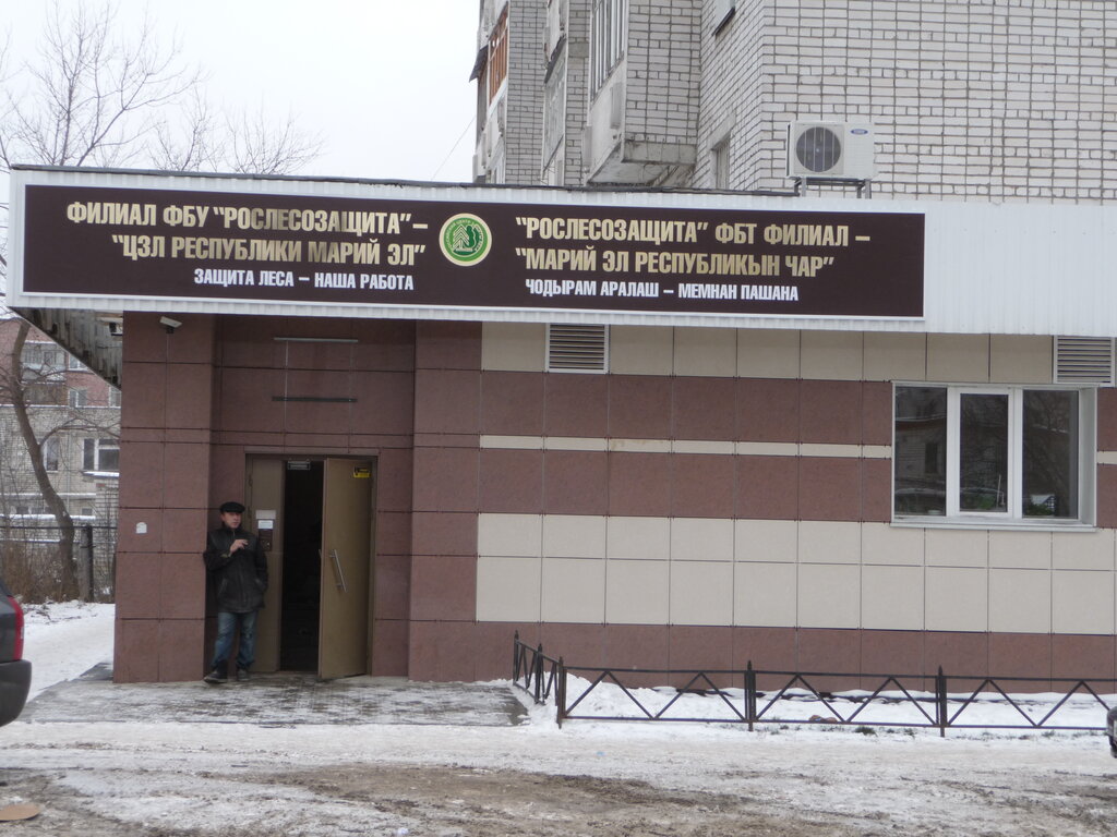 State supervisory bodies Центр защиты леса Республики Марий Эл, Yoshkar‑Ola, photo