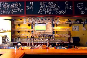 Trappist (Radishcheva Street, 36), bar, pub