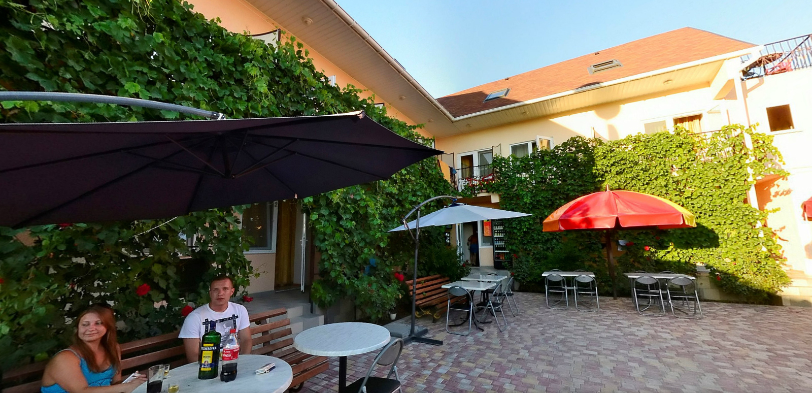 Фото Кипарис