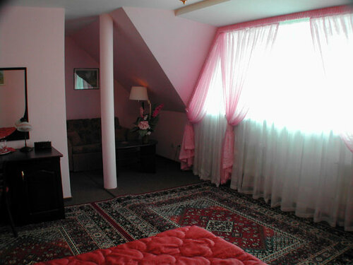 Внешний вид отеля Черепаха в Калининграде, фото 5