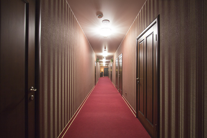 Фото Абрикос