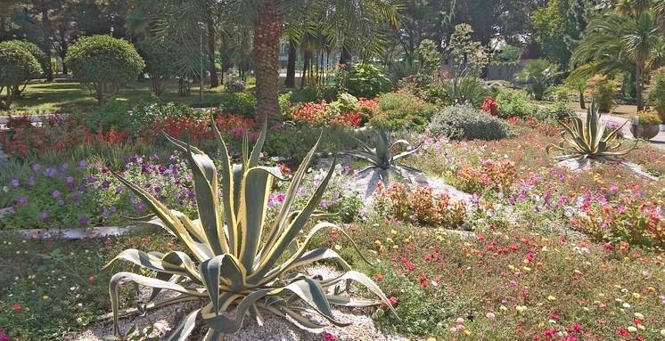 Фото Изумруд