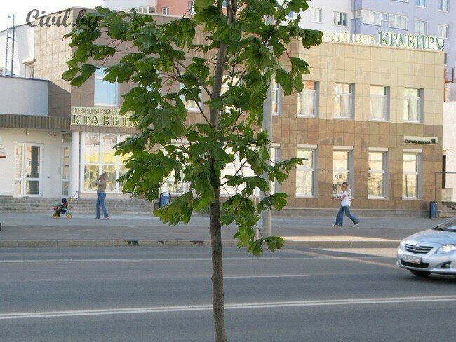 Медцентр, клиника Кравира, Минск, фото