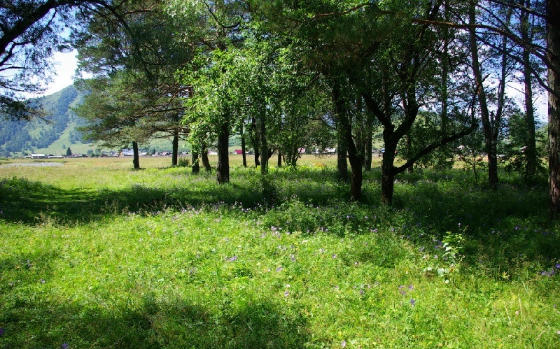 Фото Островок