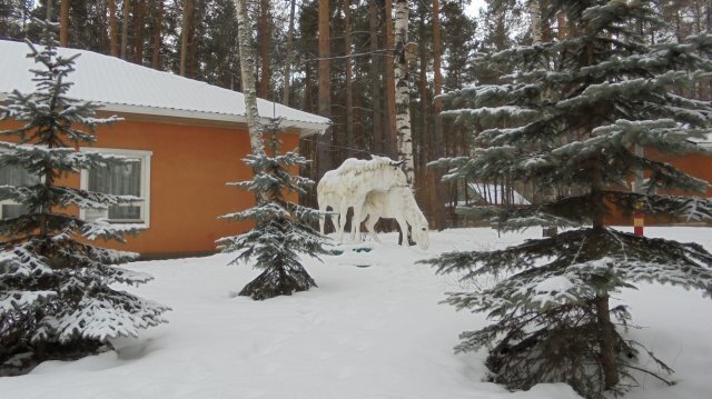 База, дом отдыха Берёзка, Нижегородская область, фото