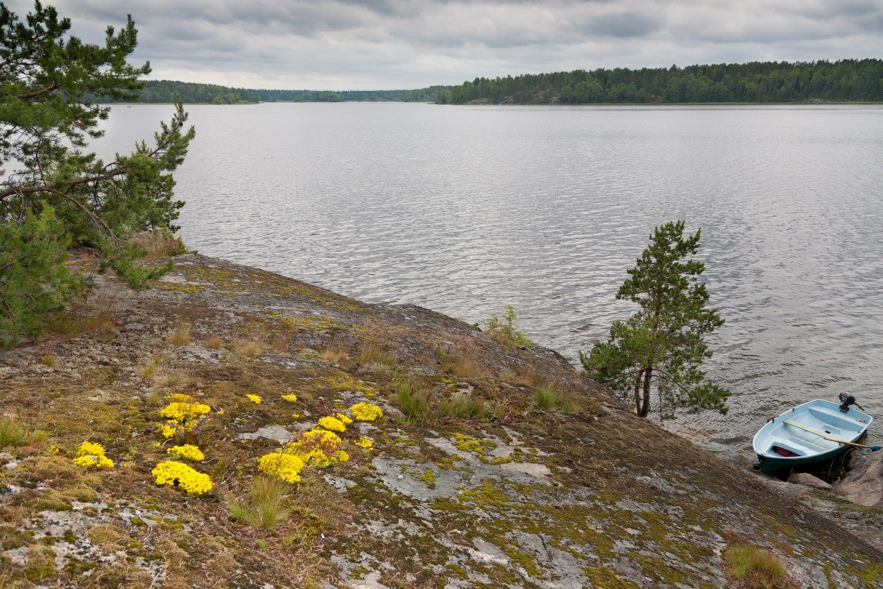 Фото Берёзово Хутор