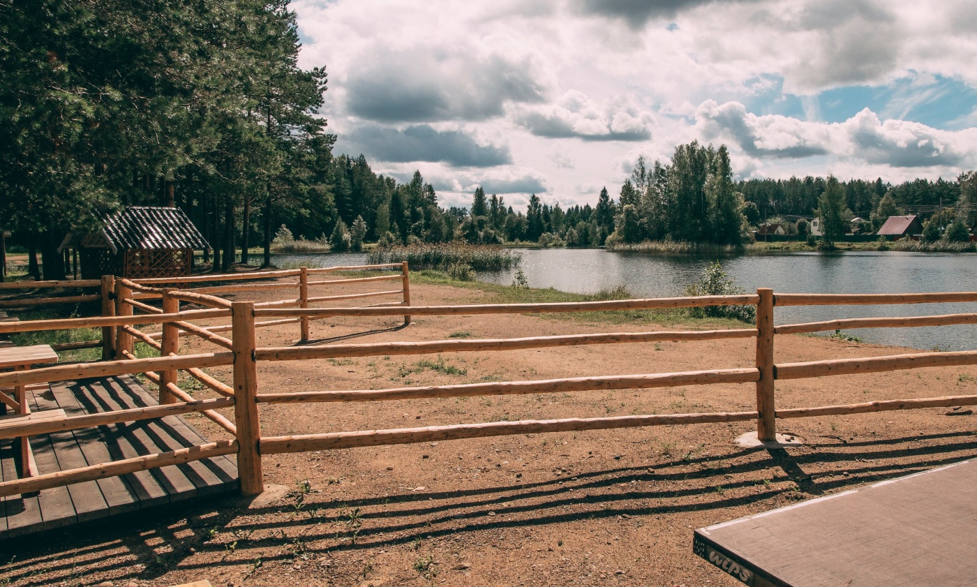 Фото Пикник