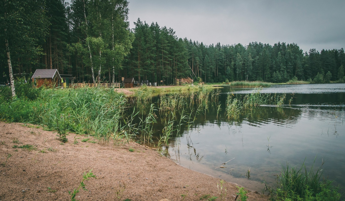 Фото Пикник